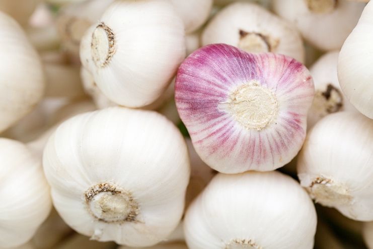 Garlic for blood cleansing