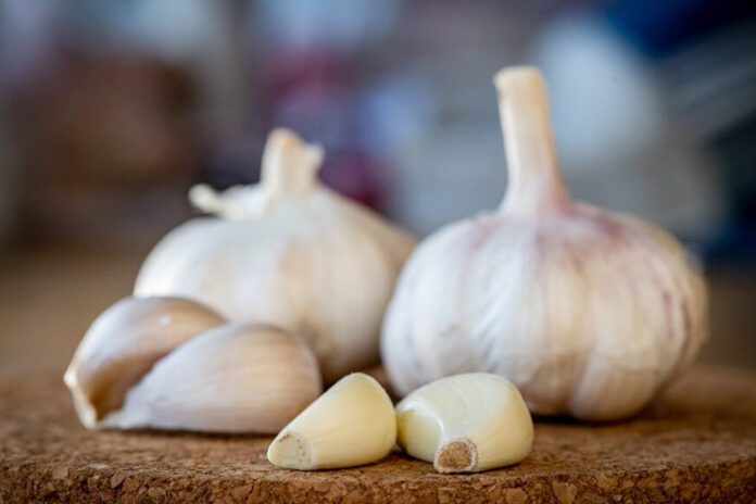 Amazing-Health-Benefits-of-Garlic