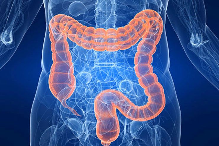 Colon Health Diet For A Healthy Colon HealthSpectra