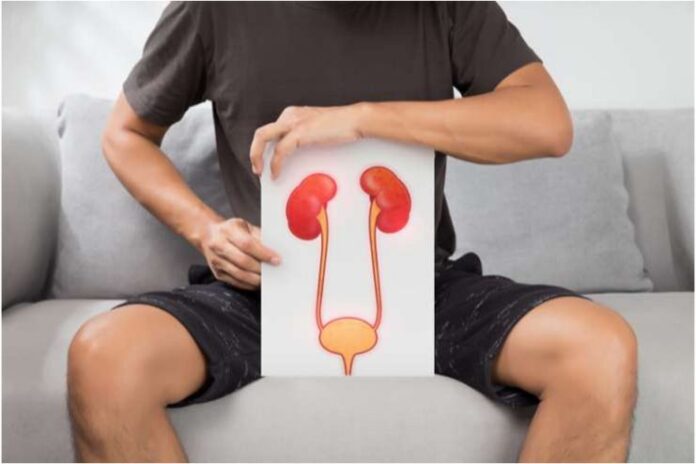 Kidney Infection Symptoms To Check