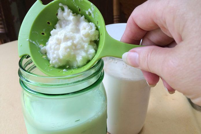 Best Kefir Benefits Nutrition And Diet Health Spectra