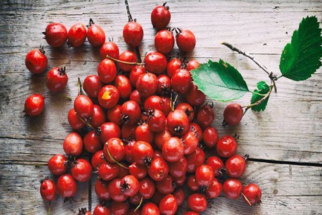 15-unbelievable-benefits-of-hawthorn-berry-that-will-leave-you-shocked