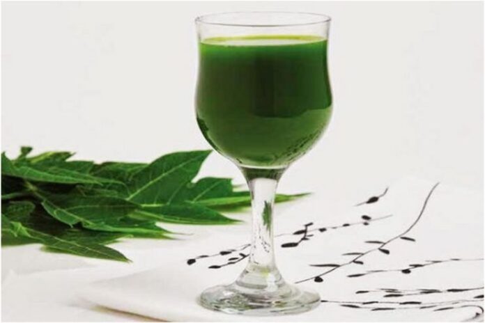 10 Incredible Health Benefits Of Papaya Leaf Extract