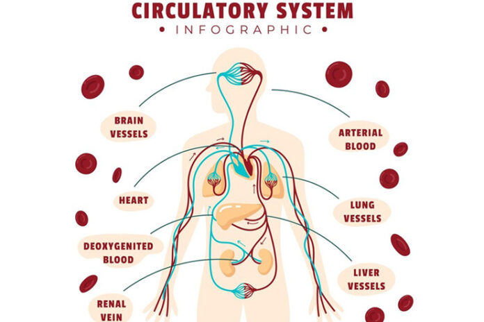 20-Natural-Ways-to-Boost-and-Improve-Blood-Circulation