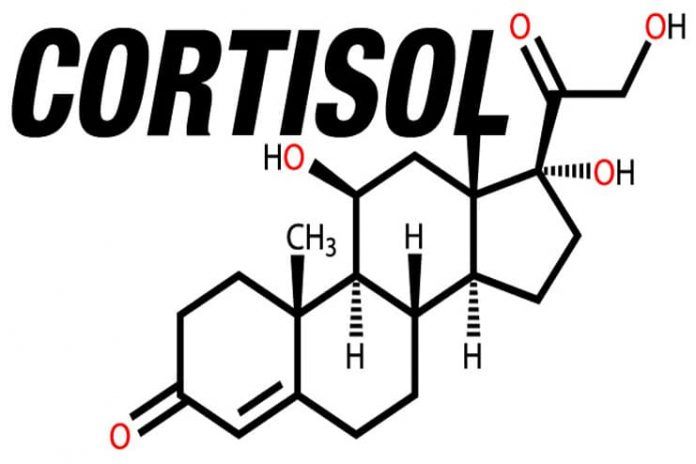 low cortisol