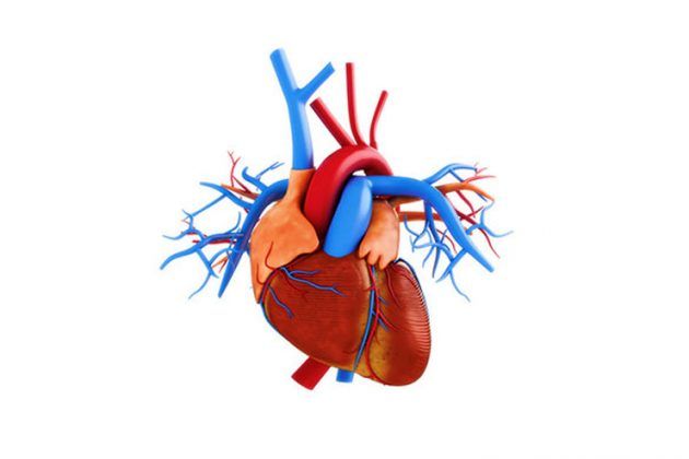 Congenital Heart Disease – Causes, Symptoms, Diagnosis And Treatment