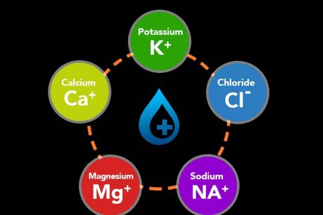 8 Foods To Consume To Maintain Electrolyte Balance For Healthier ...