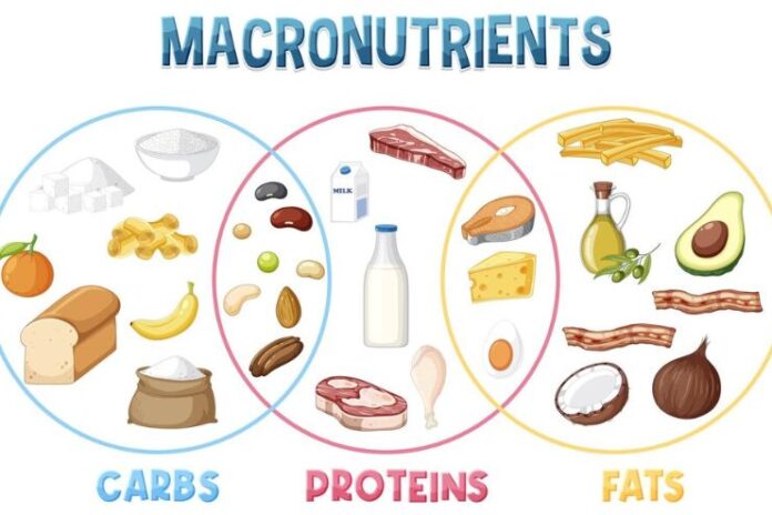 Balance Macronutrients for Sustainable