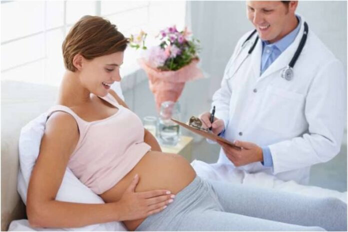 Essentials for a Healthy Pregnancy Journey