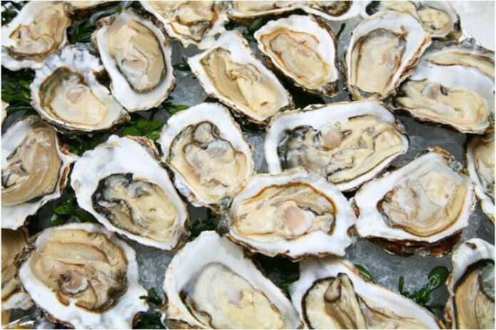 Health Benefits of Oysters