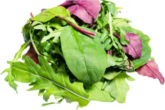 Iron-Rich Leafy Green Salad