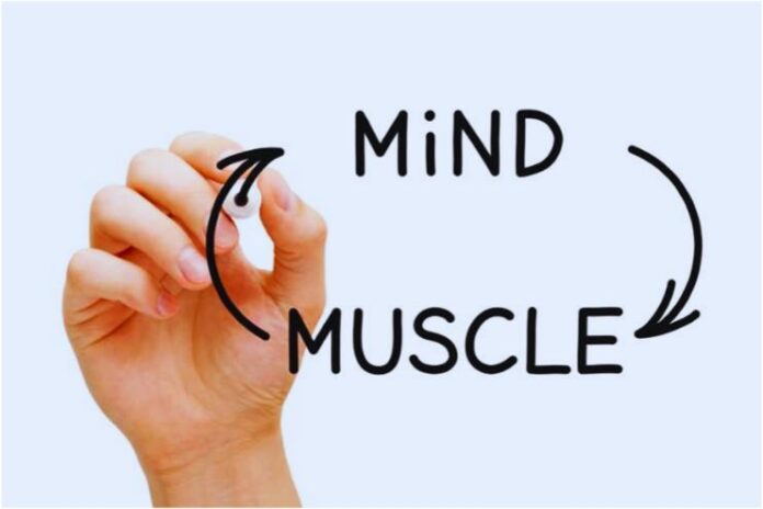 Mind-Muscle Connection