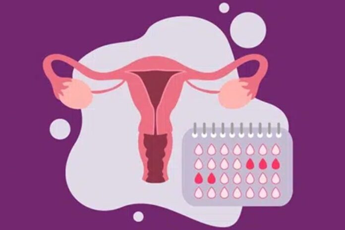 Why Your Periods Might Stop Amenorrhea