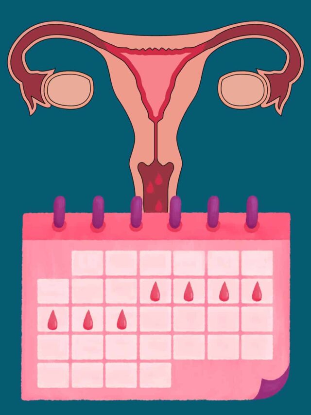 Why Your Periods Might Stop: Understanding Amenorrhea