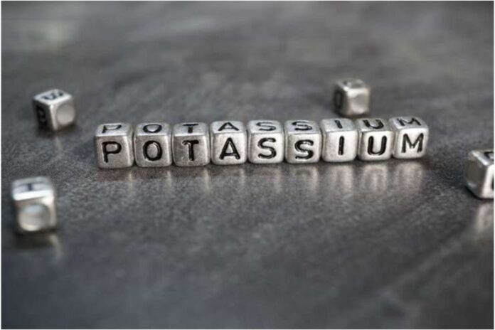 Foods High in Potassium